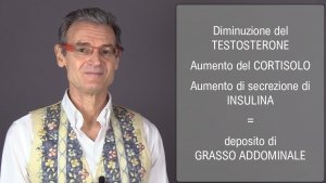 Insonnia e grasso addominale - video