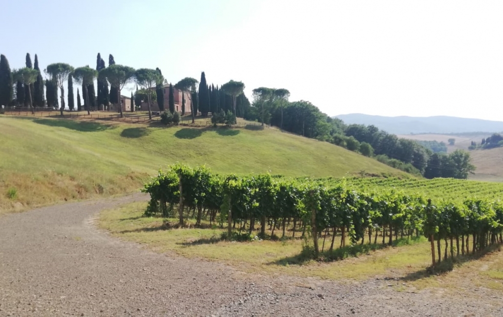 Cicloturismo sulla Via Francigena con il nutrizionista