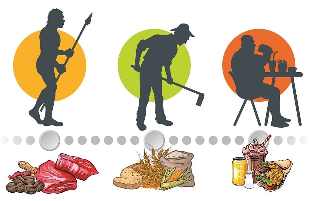 Come si è evoluta l'alimentazione umana